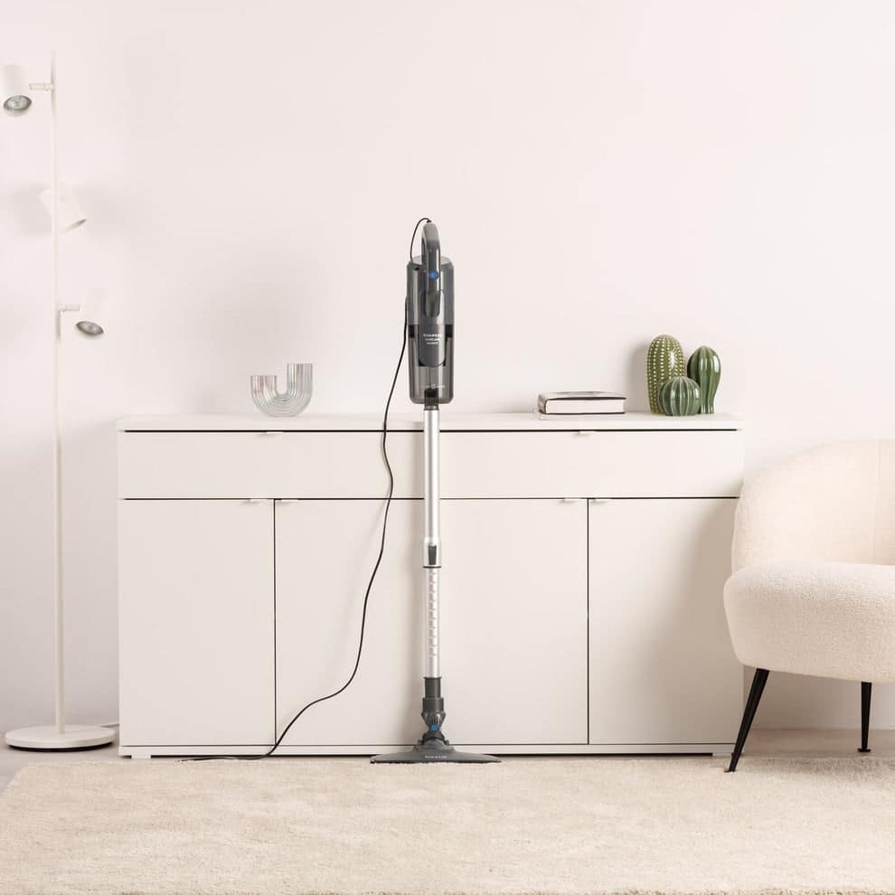 Aspirateur Balai Taurus Homeland Infinity