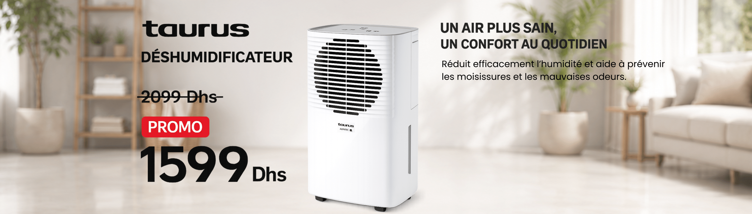 DESHUMIDIFICATEUR PLEASANT DH1201